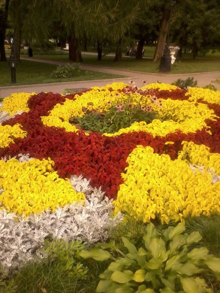 Зейнеп Ташмуратовна