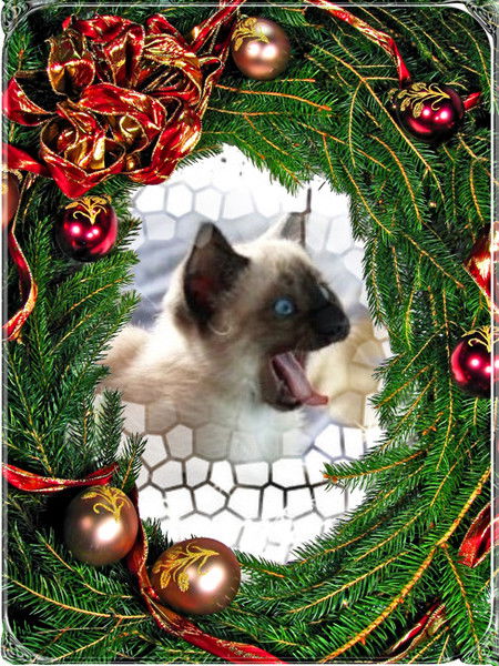 Любовь Федоренко