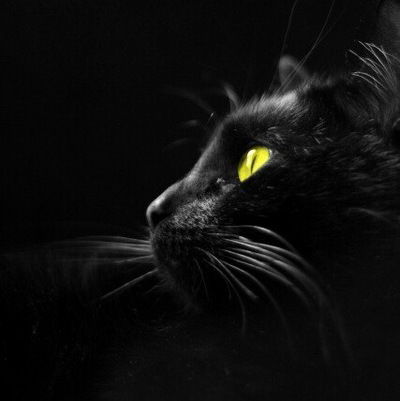 Раиса Топтун