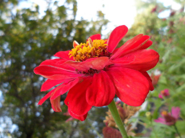 Ирина Глазырина