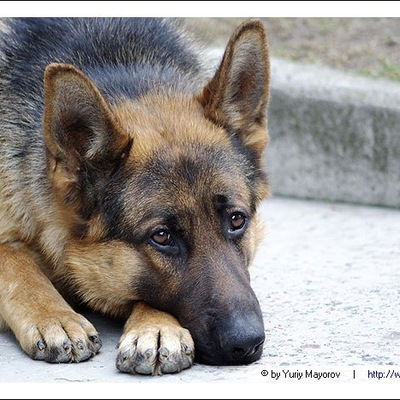 Ляйсан Сагидуллина