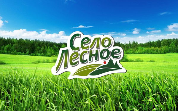 Тоо Лидер-2010 Компания