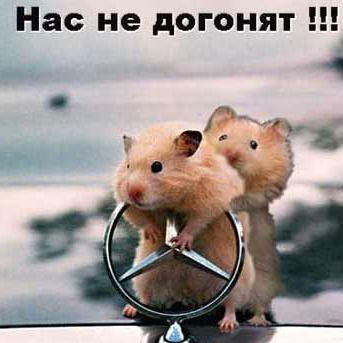 Белозёрка 2030 Белозёрка 2030