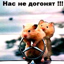 Белозёрка 2030 Белозёрка 2030