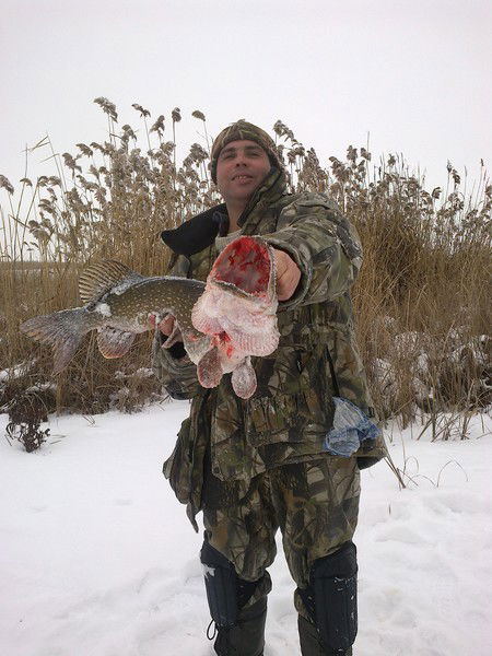 Дмитрий Хныкин