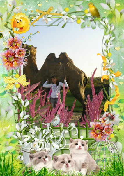 Дарья Вдовина