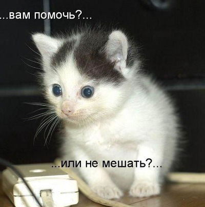 Валерий Шардт