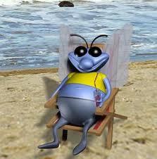 Муха Комарова