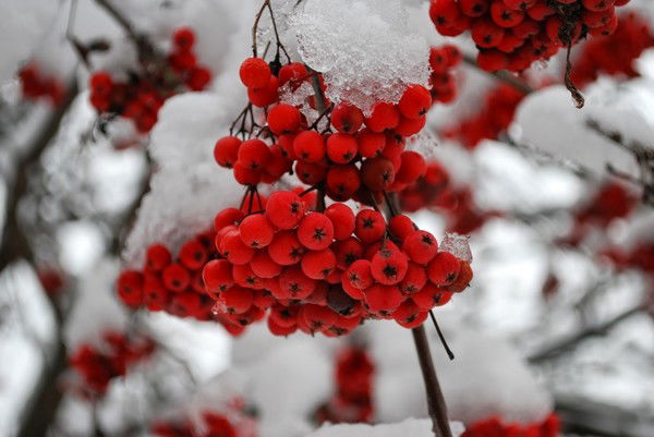 Мария Соловская