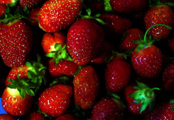 Вафира Хаматдинова