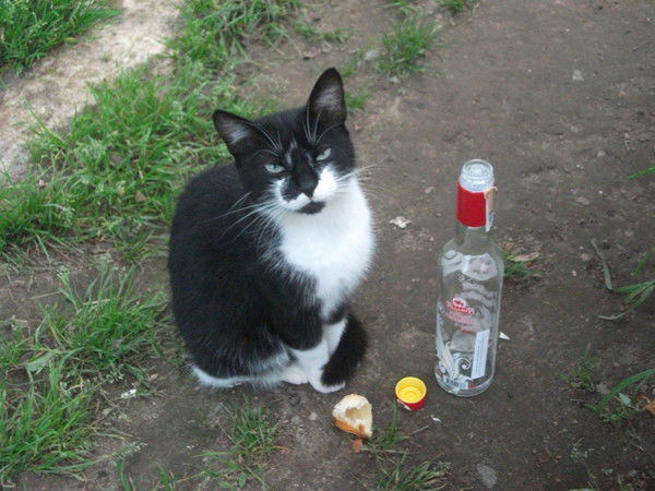 Олеся Ярмош