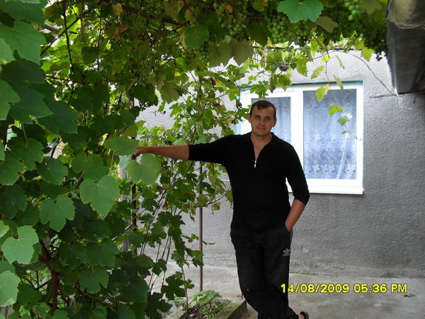 Евгений Луценко