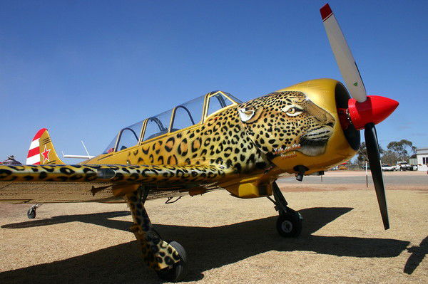 Владимир Черенко