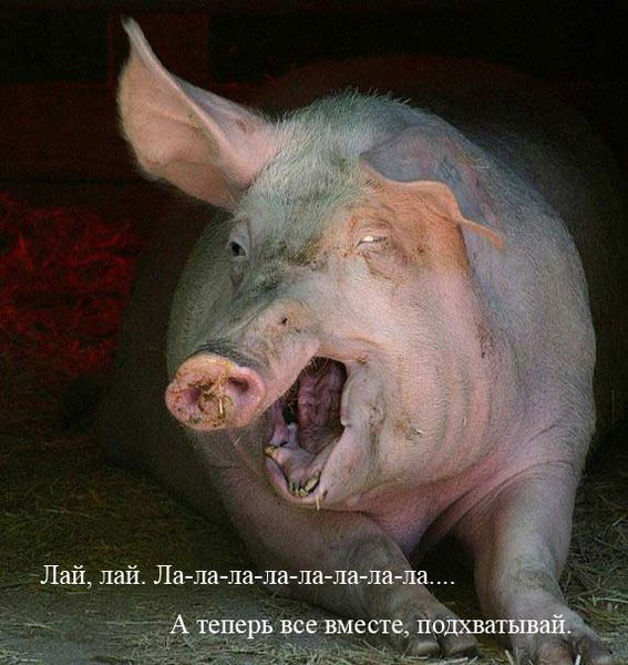 Владислав Мустафин