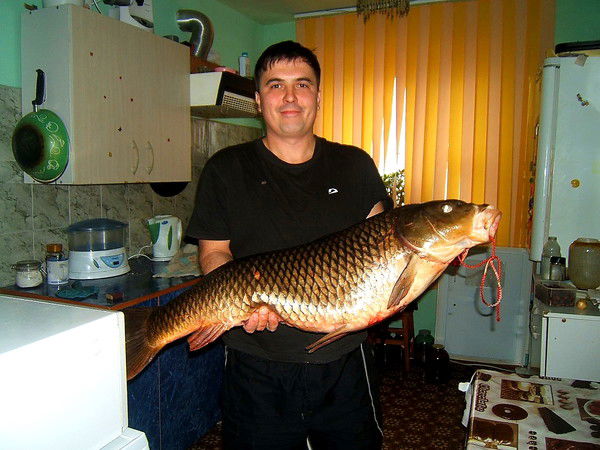 Виктор Анощенко