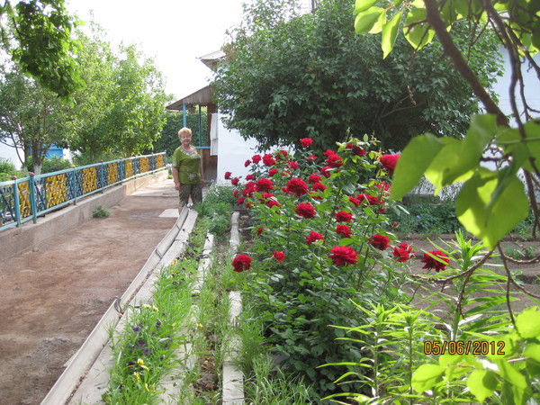 Василий Иваненко