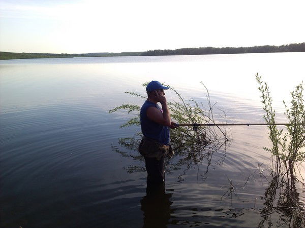 Игорь Кольцов