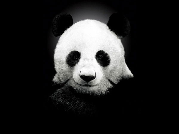 Евгений Нечаенко