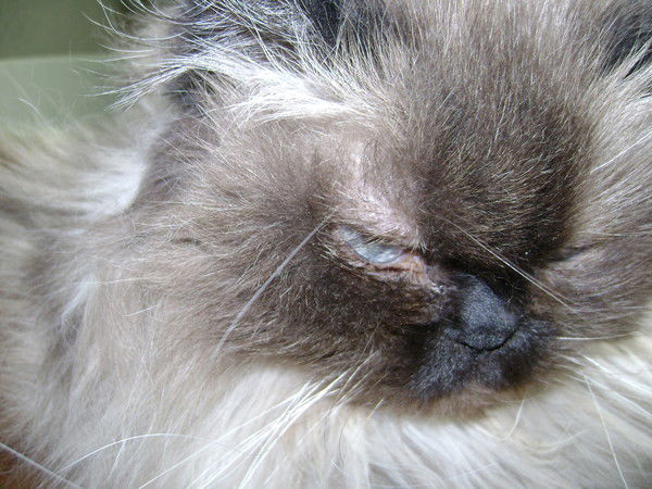 Анатолий Анатольевич