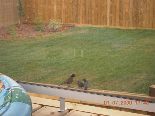 Наталия Долотина