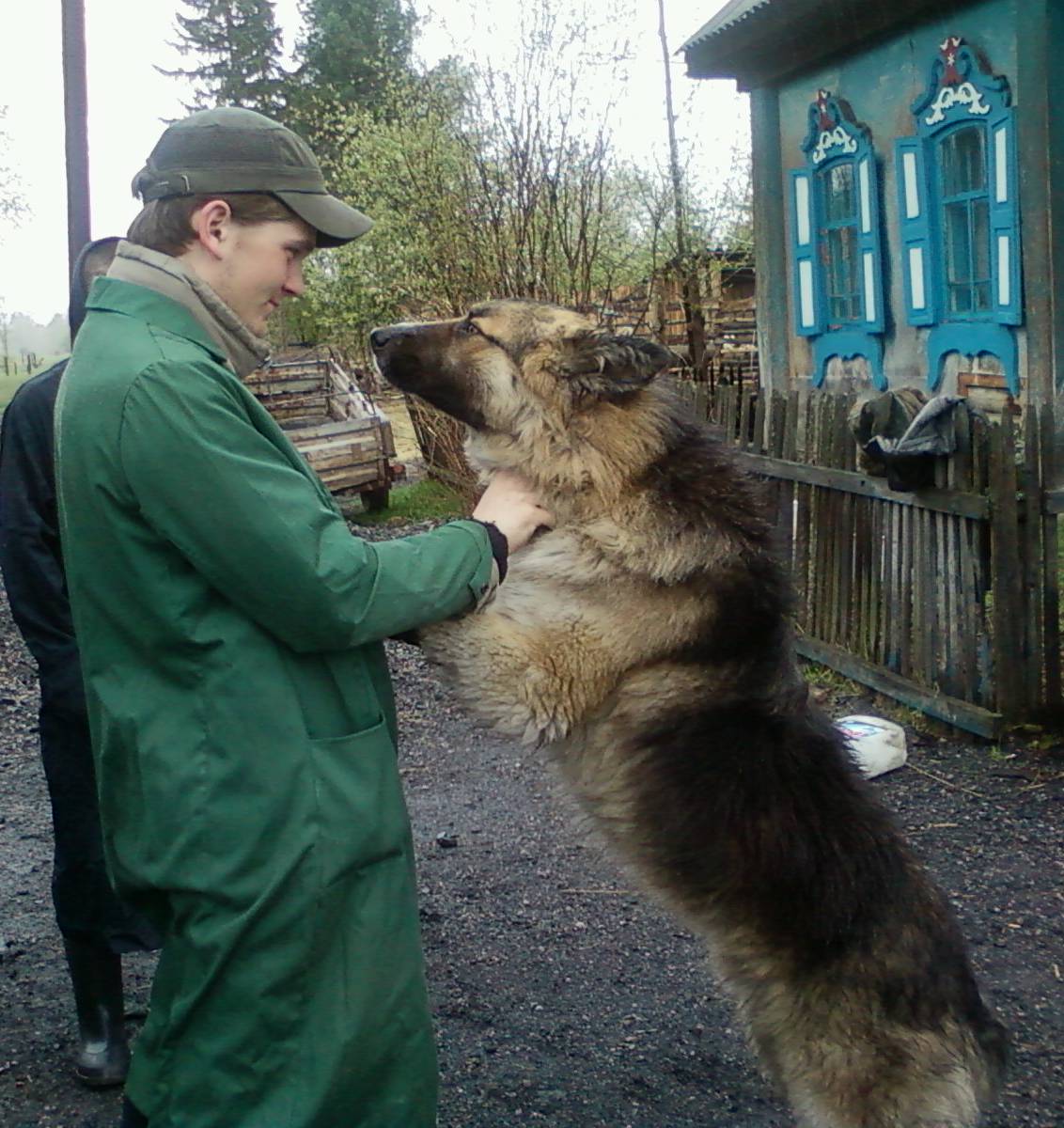 Сергей Михайлов