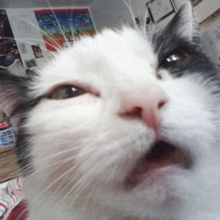 Татьяна Суходолова