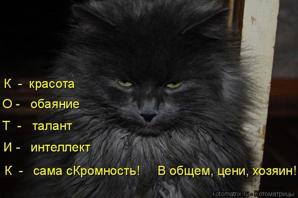 женщины мало пьют потому что все мужики и так красивые. Смотреть фото женщины мало пьют потому что все мужики и так красивые. Смотреть картинку женщины мало пьют потому что все мужики и так красивые. Картинка про женщины мало пьют потому что все мужики и так красивые. Фото женщины мало пьют потому что все мужики и так красивые