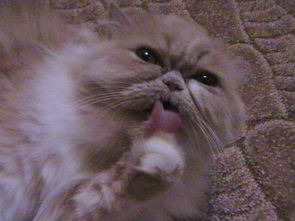 Роман Рыжаков