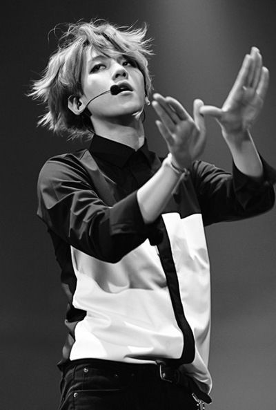 Домашний Кот