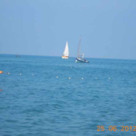 Ольга Чеботарева