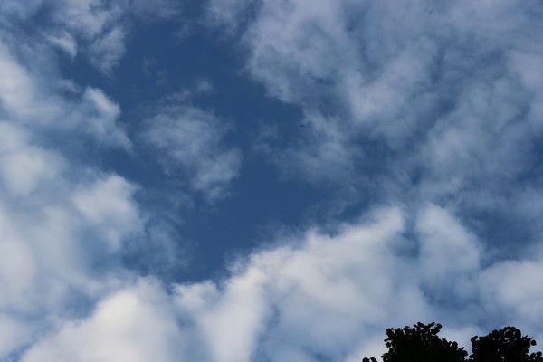 Алеся Иванова