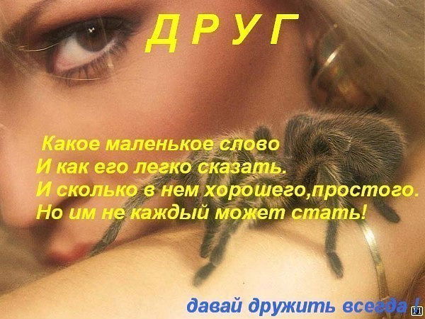 Екатерина Заболотская