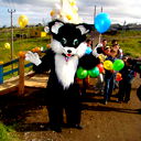 Злой Кот