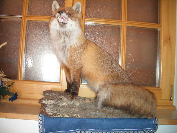 Снежана Снегина