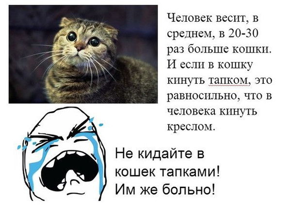 Олеся Шмелёва