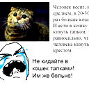 Олеся Шмелёва