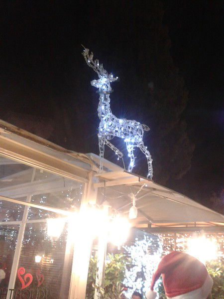 Игорь Сергеев