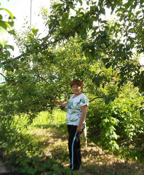 Нина Куршакова