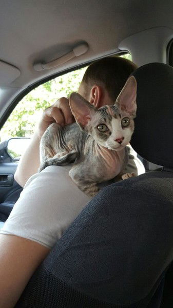 Алексей Именов