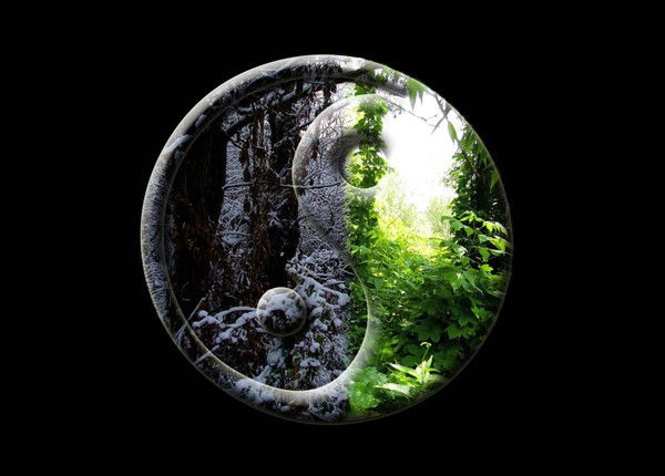 Димитрий Рубан