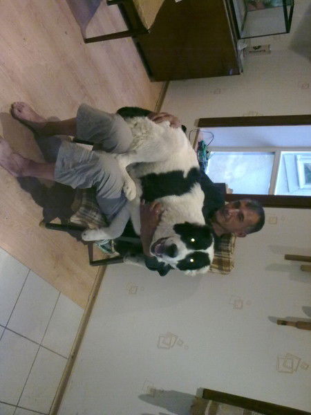 Игорь Светличный