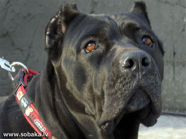 ???? ??????????? ??? 7 ??. ?????????????