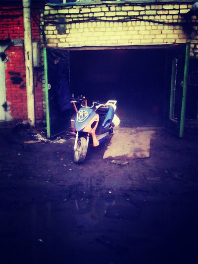 Дима Гусельников