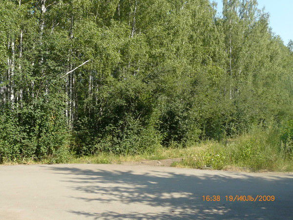 Надя Поваляева