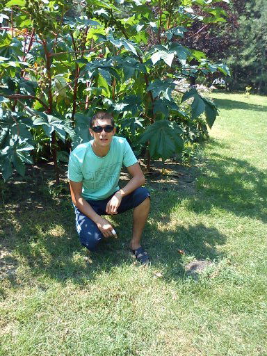 Виктор Петрович