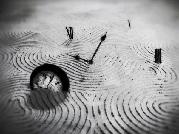 Дмитрий Ерохин