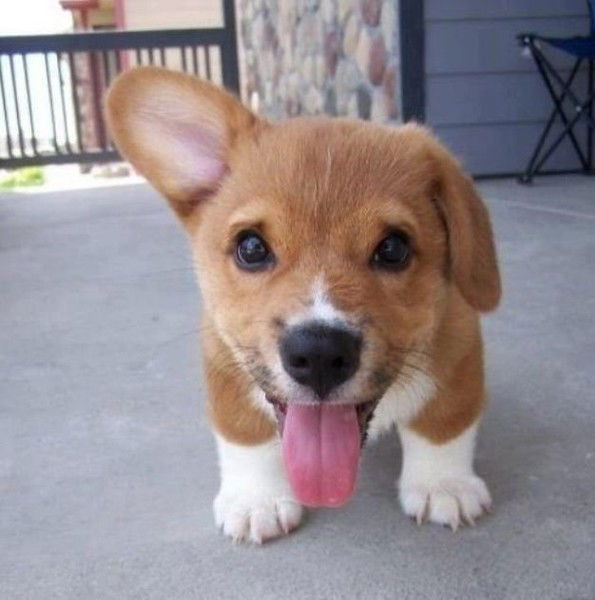 Дмитрий Дьяков