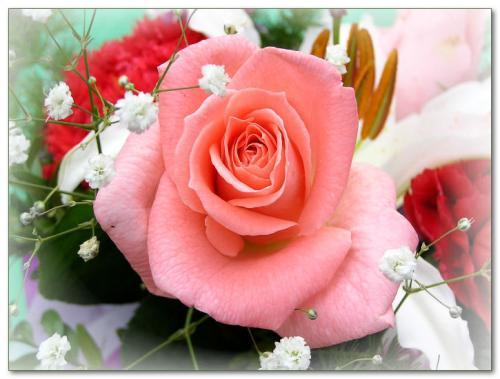 Светлана Бухгалтер