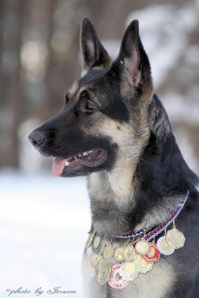 Наталья Петрунина