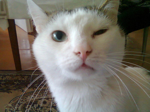 Гульнара Асыкпаева